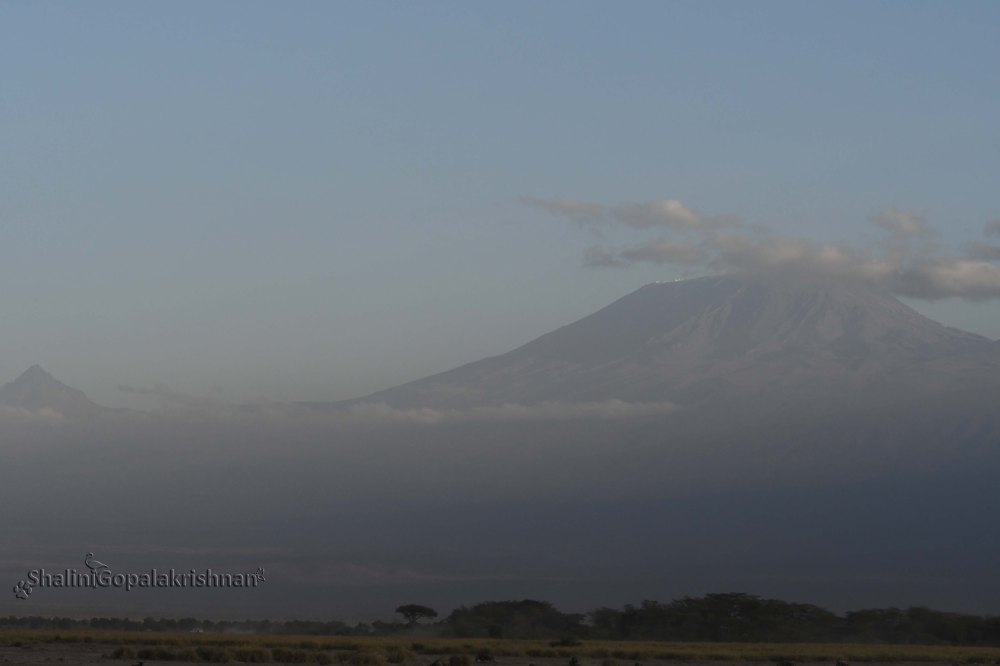 Kilimanjaro_SG